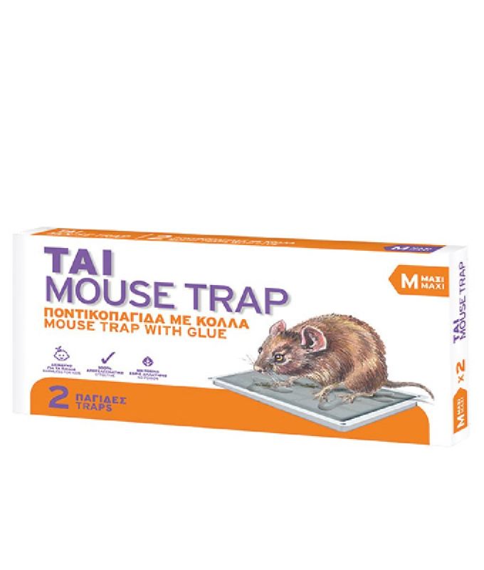 ΠΑΓΙΔΕΣ ΠΟΝΤΙΚΟΠΑΓΙΔΕΣ ΤΑΙ 2ΤΕΜ.