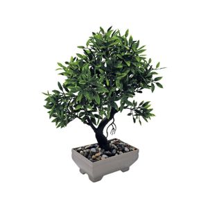 ΓΛΑΣΤΡΑΚΙ ΜΕ ΦΥΤΟ ΝΟ 25